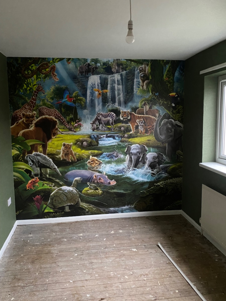 Painter and Decorator: Image 1