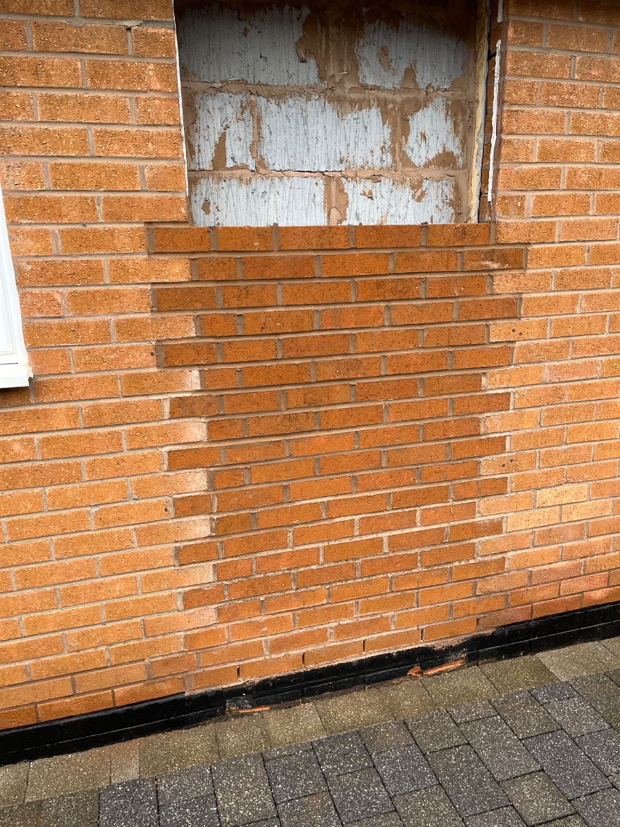 Profile: Image 22