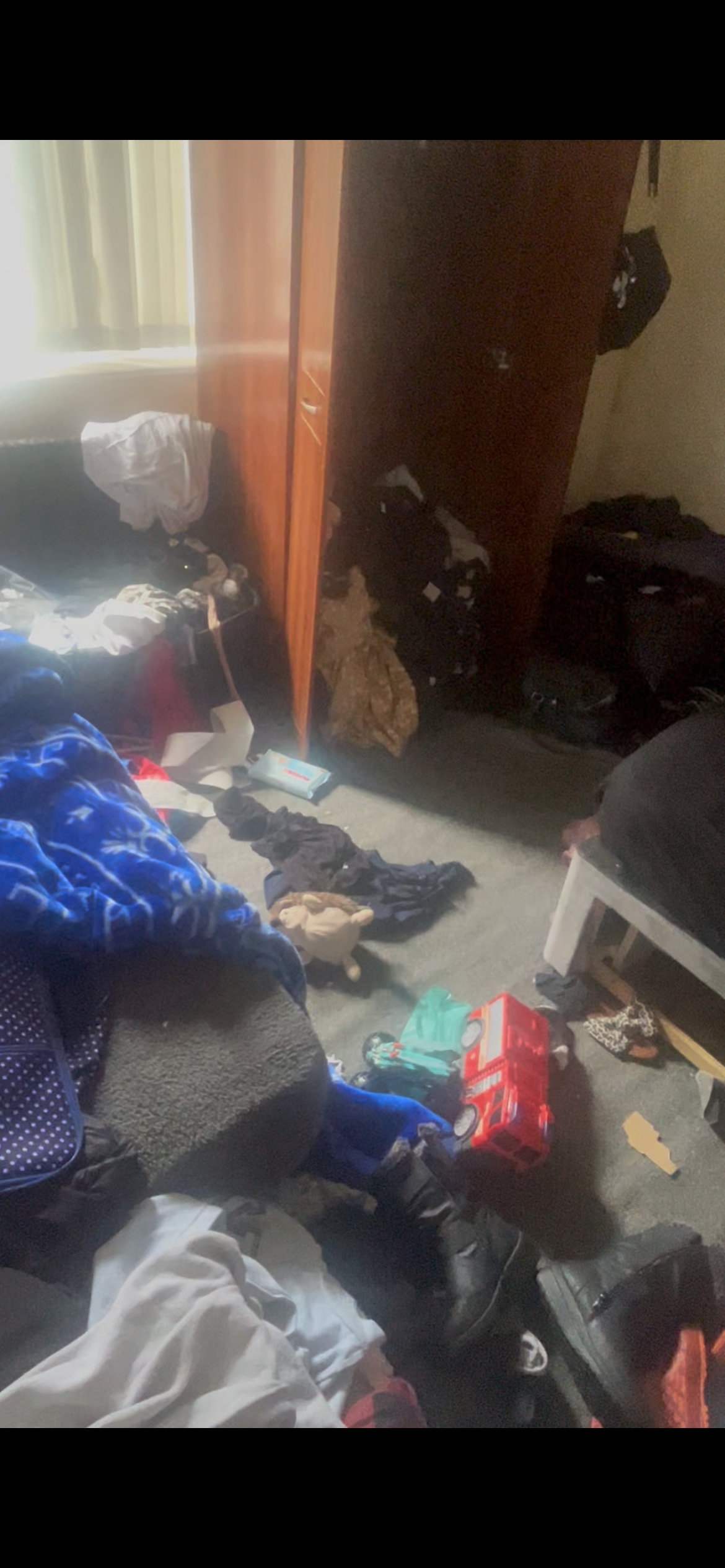Cleaner: Image 1