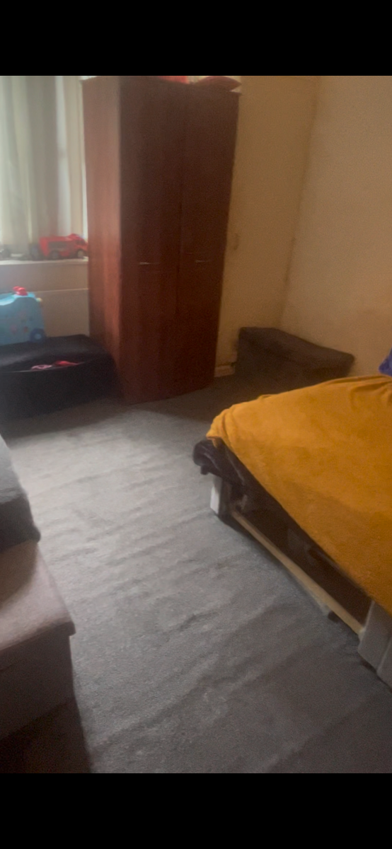 Cleaner: Image 2