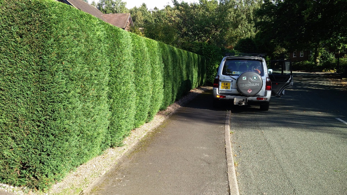 Gardener: Image 3