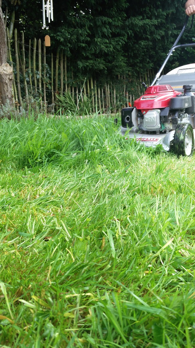 Gardener: Image 4