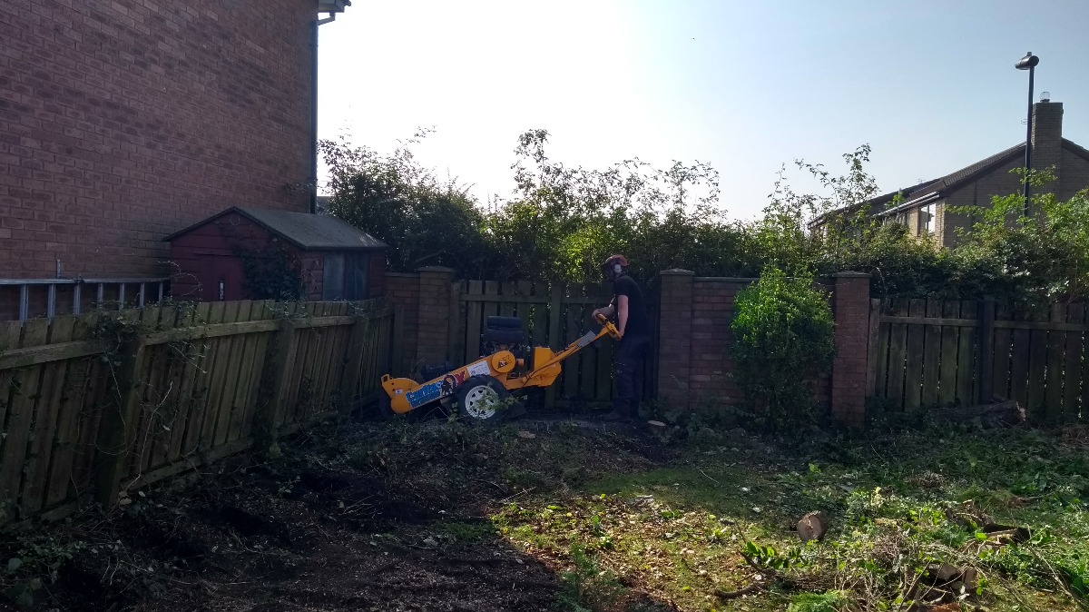 Gardener: Image 1