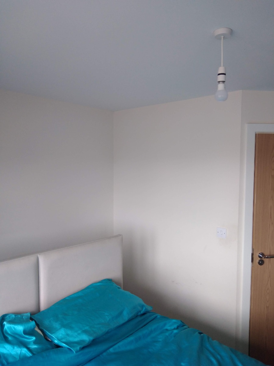 Painter and Decorator: Image 20