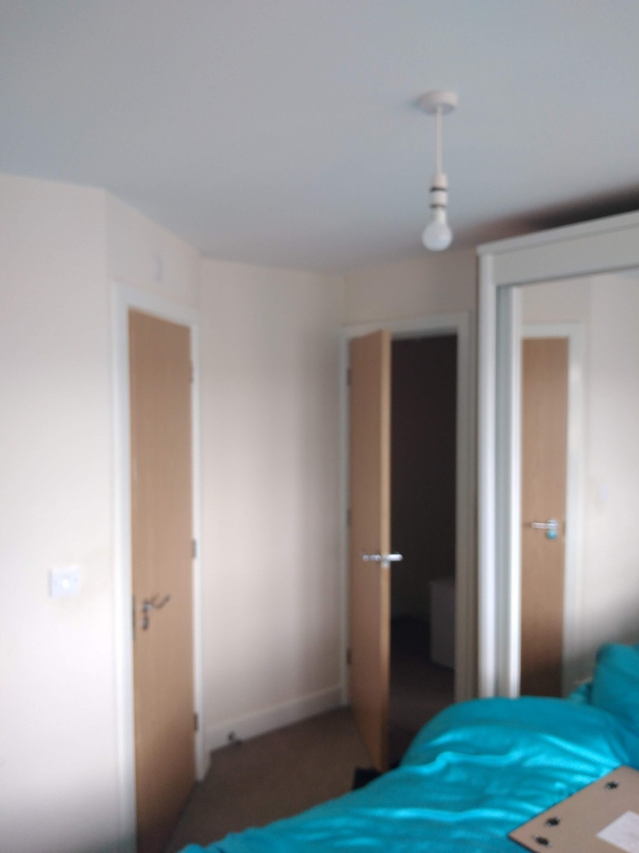 Painter and Decorator: Image 19