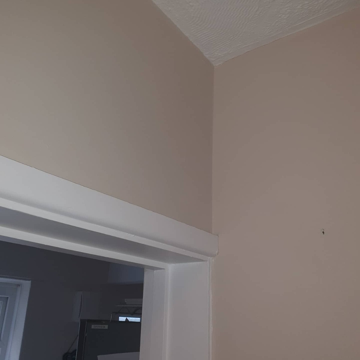 Painter and Decorator: Image 16