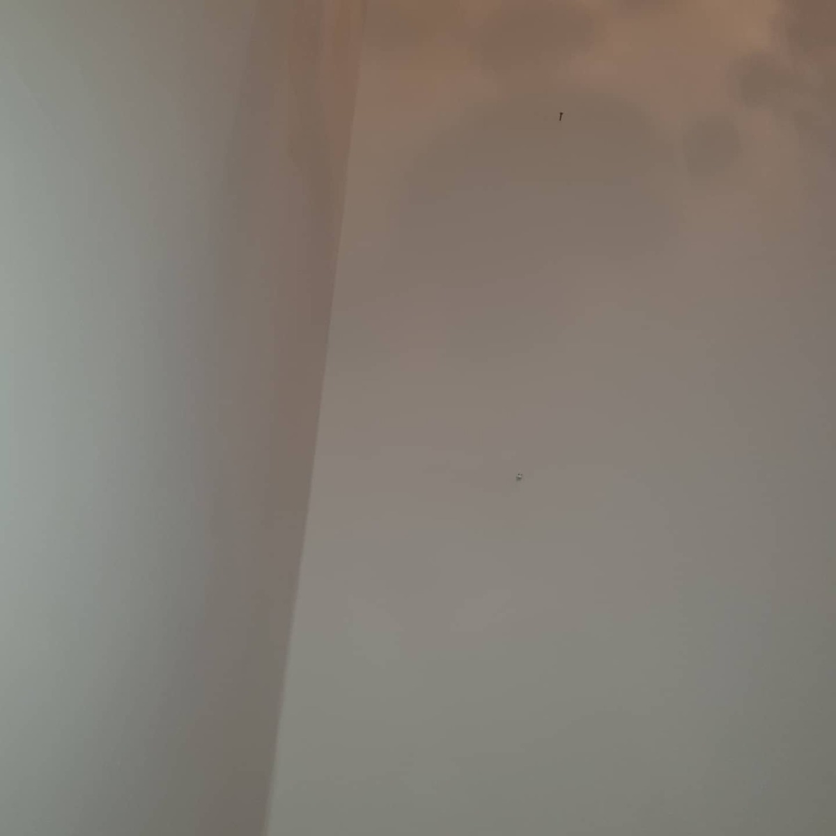 Painter and Decorator: Image 23