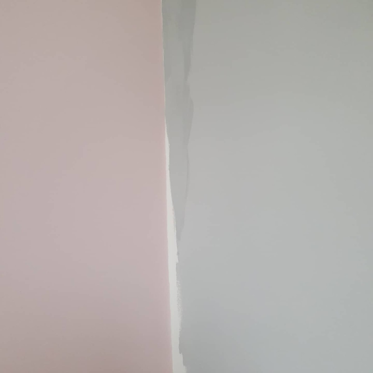 Painter and Decorator: Image 30