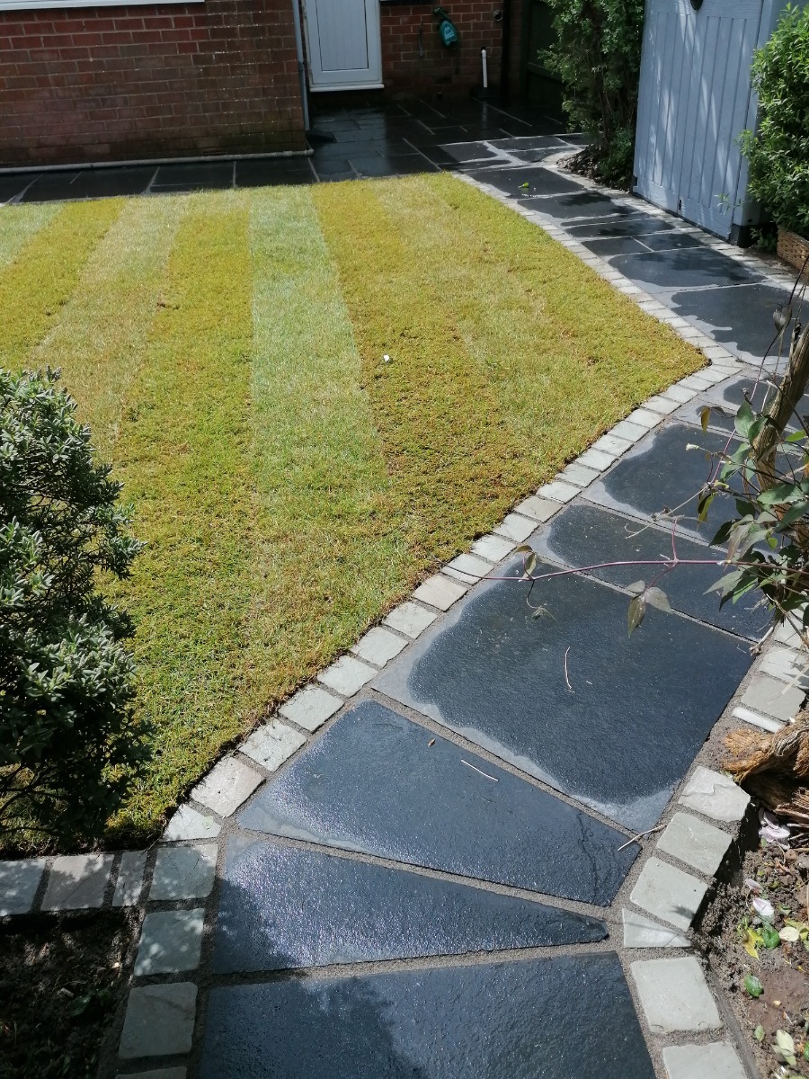 Gardener: Image 1