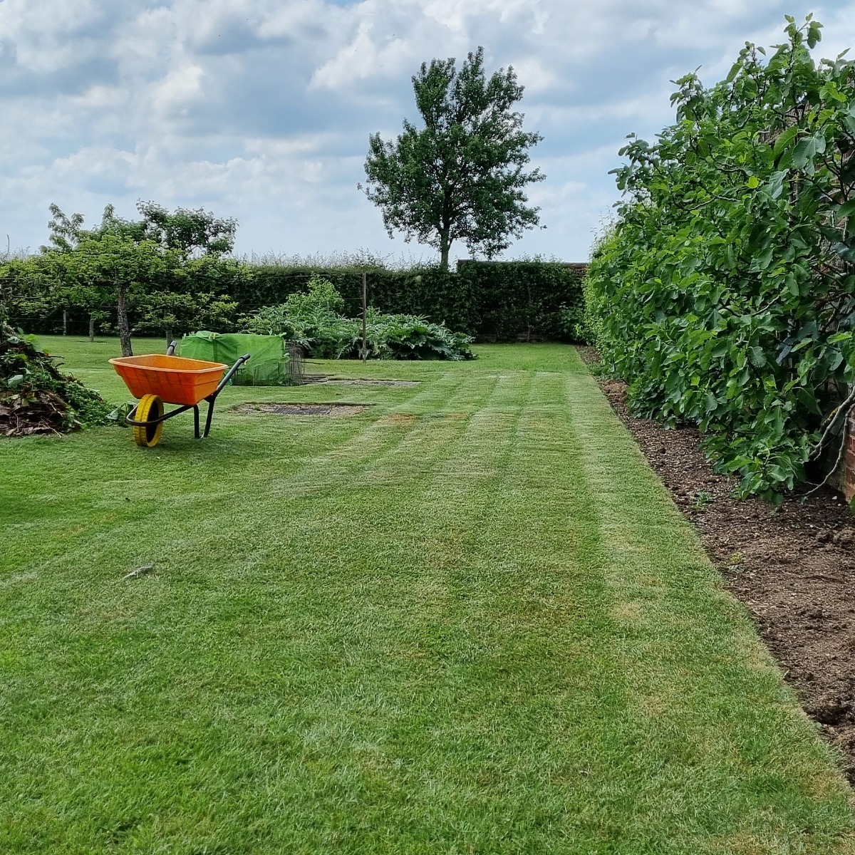 Gardener: Image 13