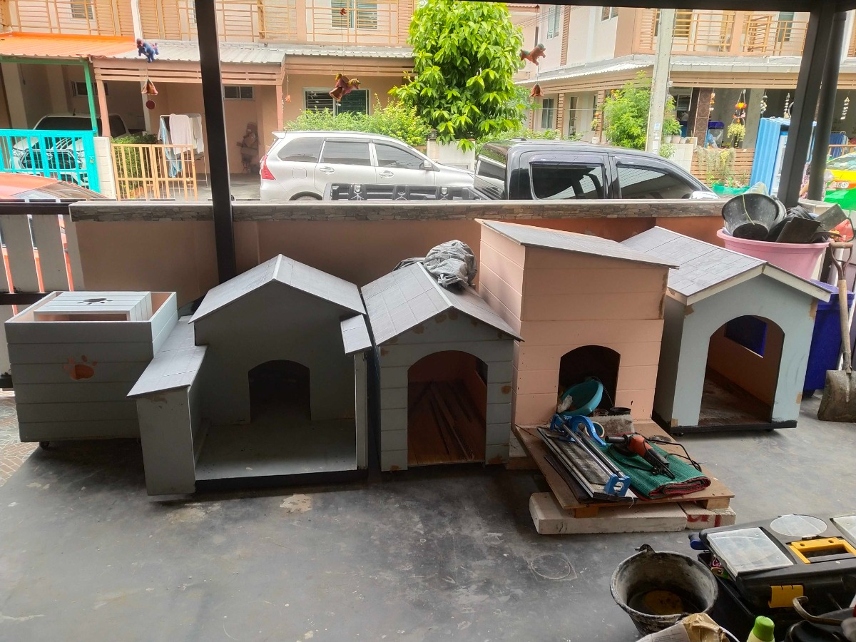 Company: Image 10