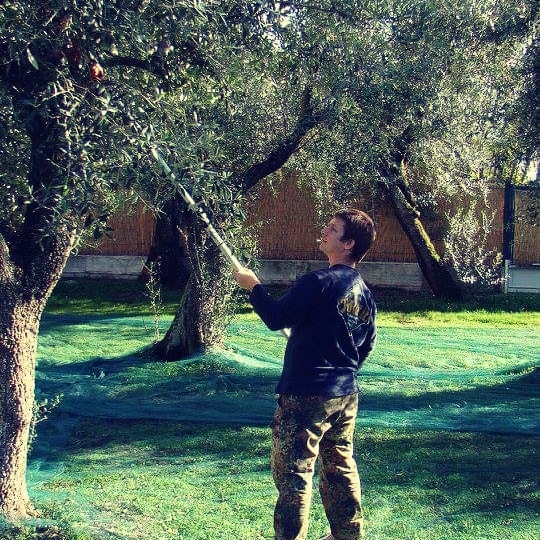 Gardener: Image 3