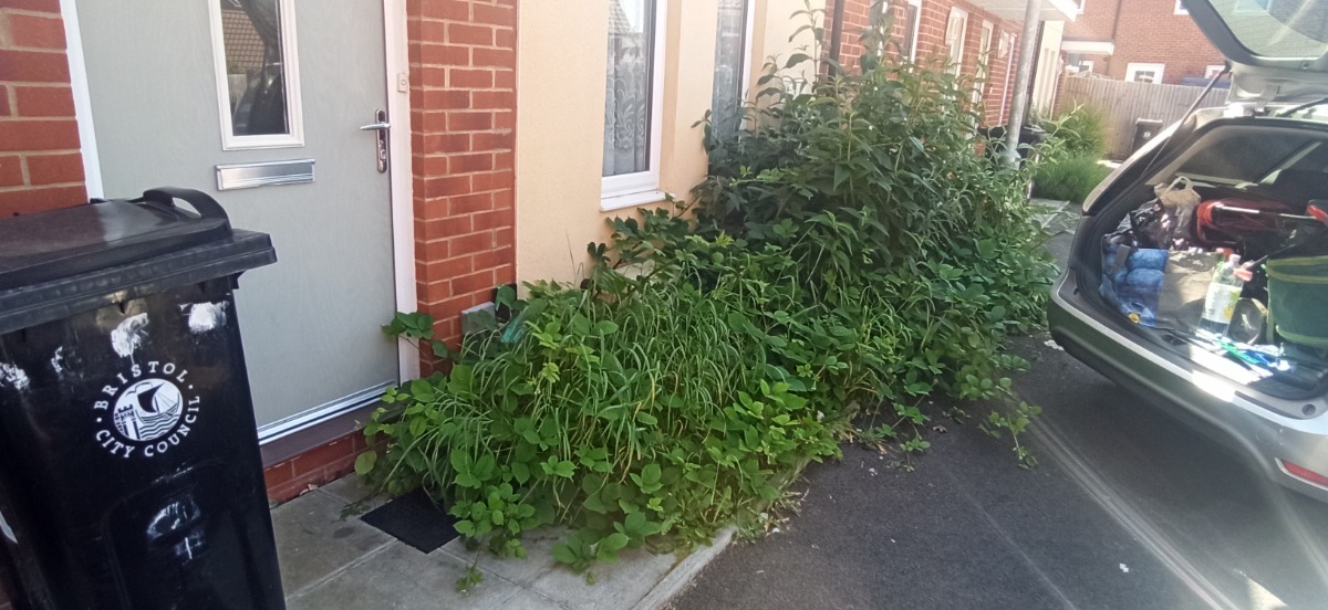 Gardener: Image 2