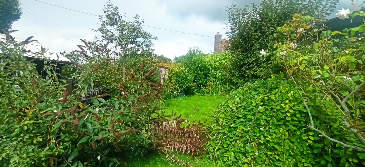 Gardener: Image 11