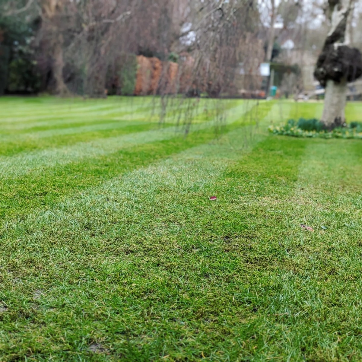 Gardener: Image 1