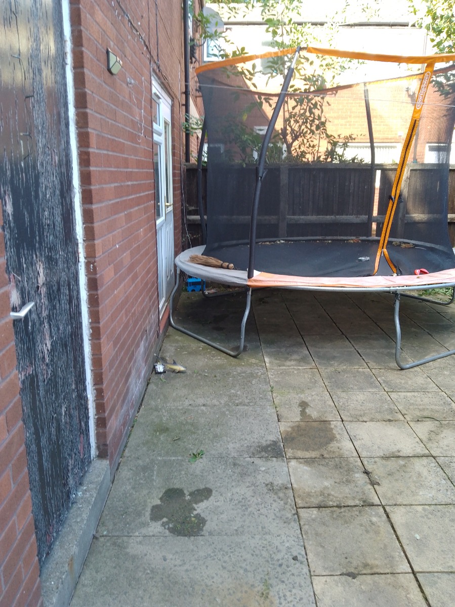 Cleaner: Image 1
