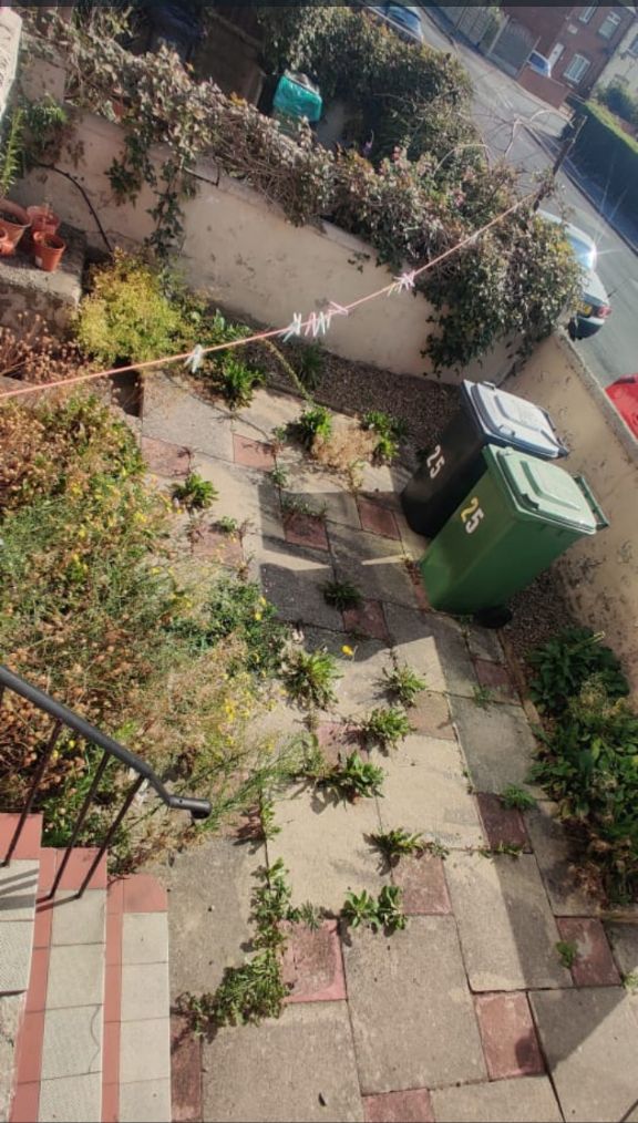 Gardener: Image 3