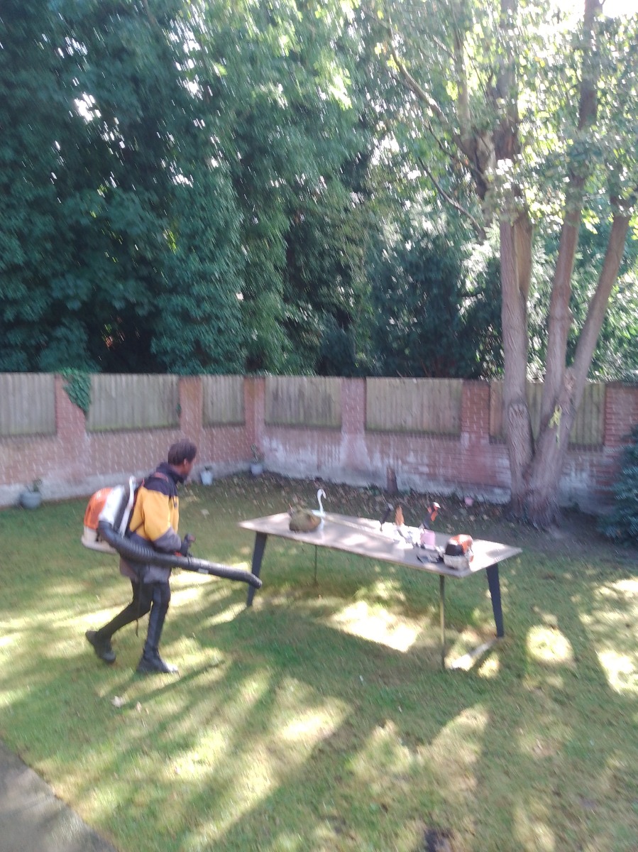 Removals and Storage: Image 3