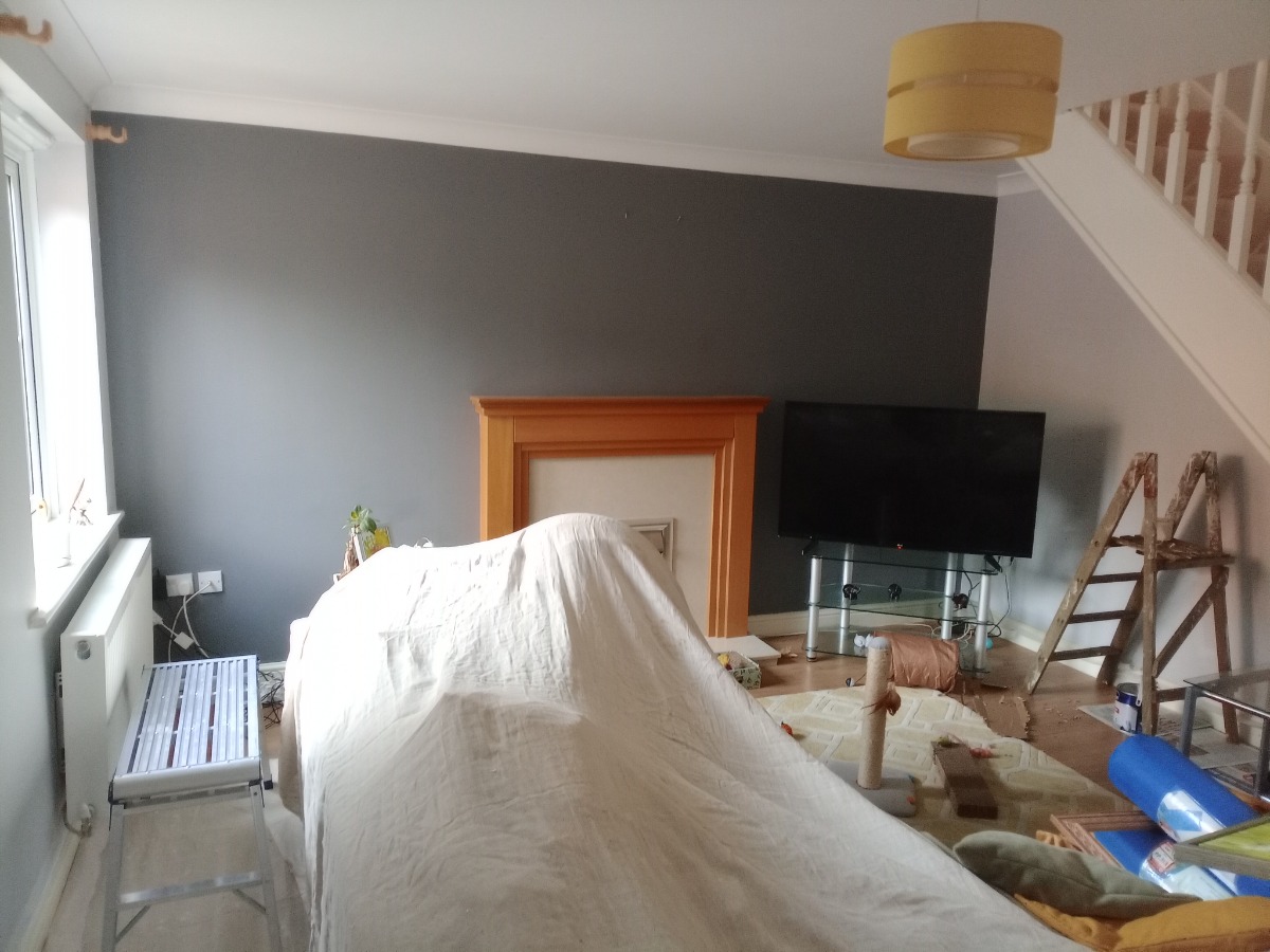 Painter and Decorator: Image 5