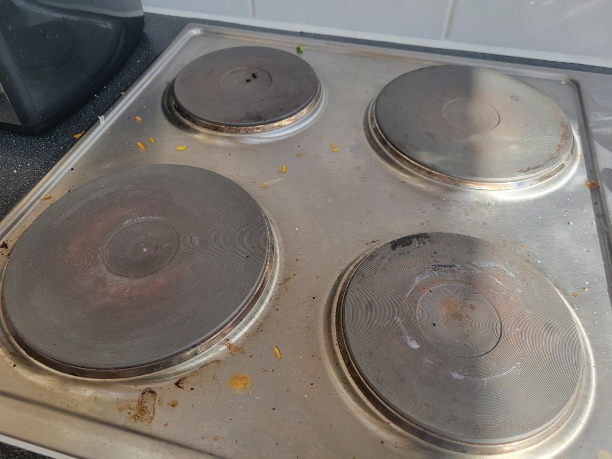 Cleaner: Image 1
