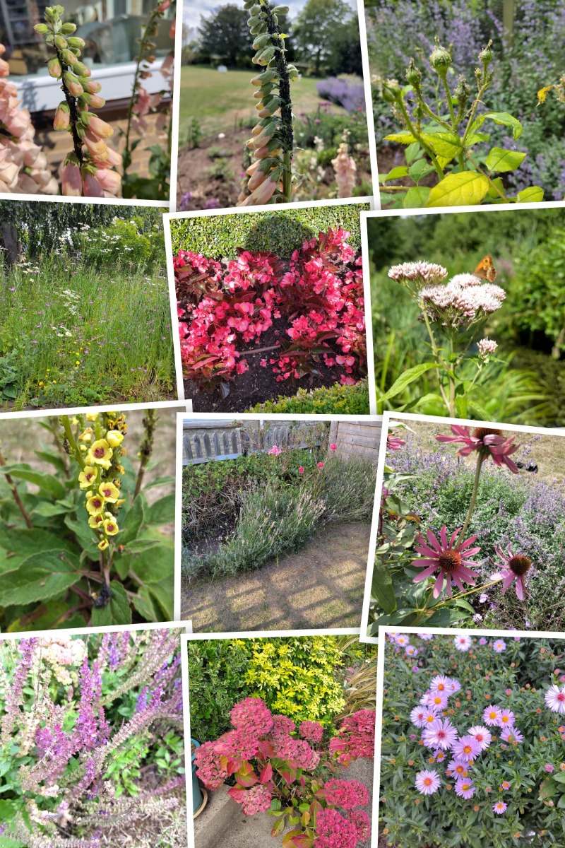 Gardener: Image 3