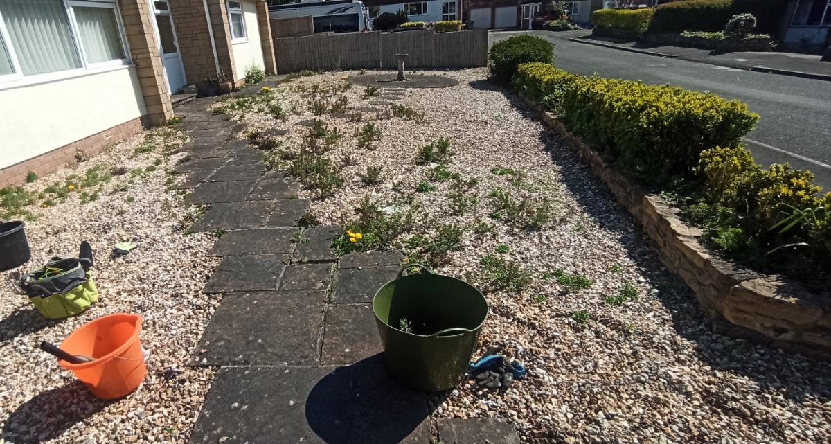 Gardener: Image 20