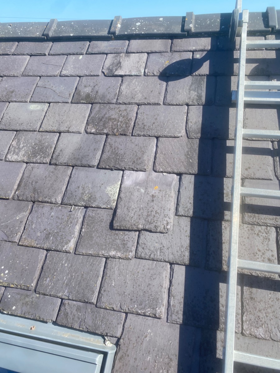Tiler: Image 9