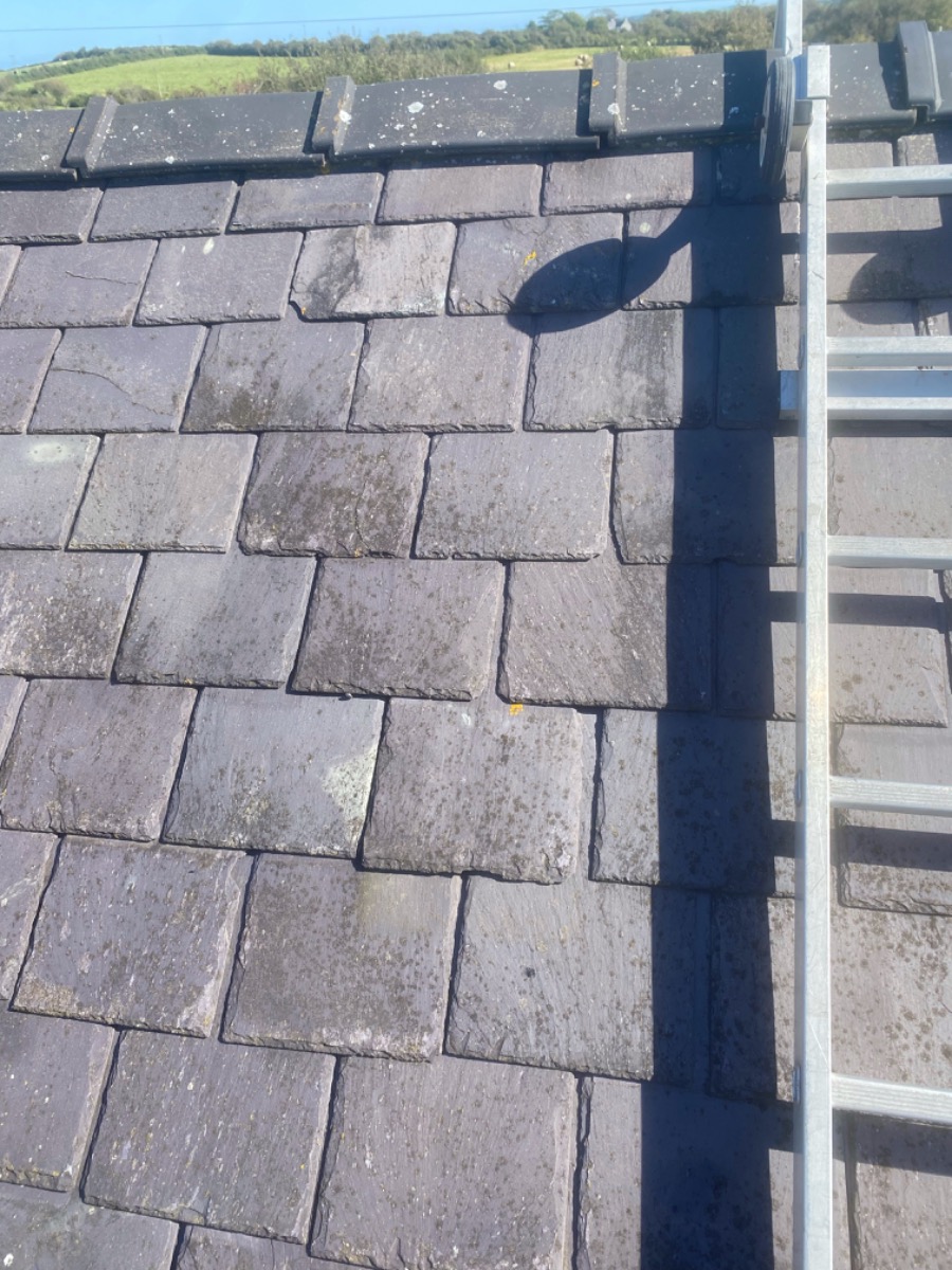Tiler: Image 10