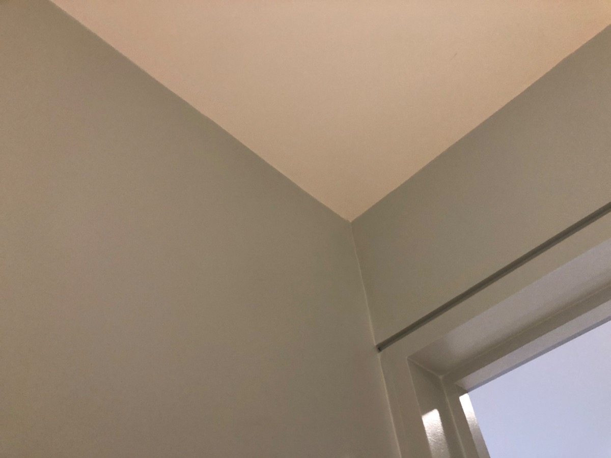 Painter and Decorator: Image 28