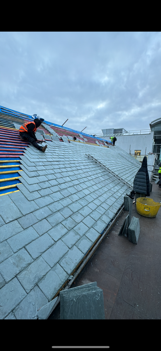 Roofer: Image 1