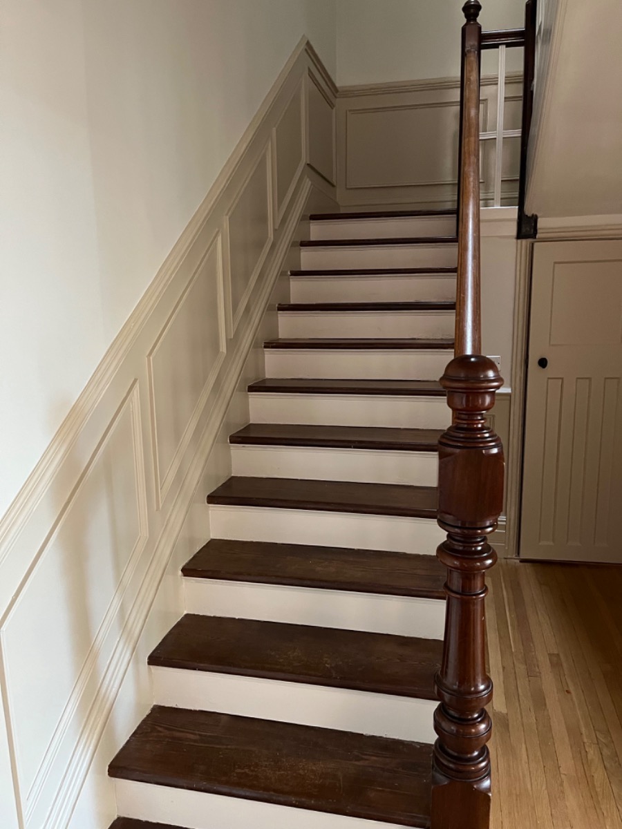 Painter and Decorator: Image 5