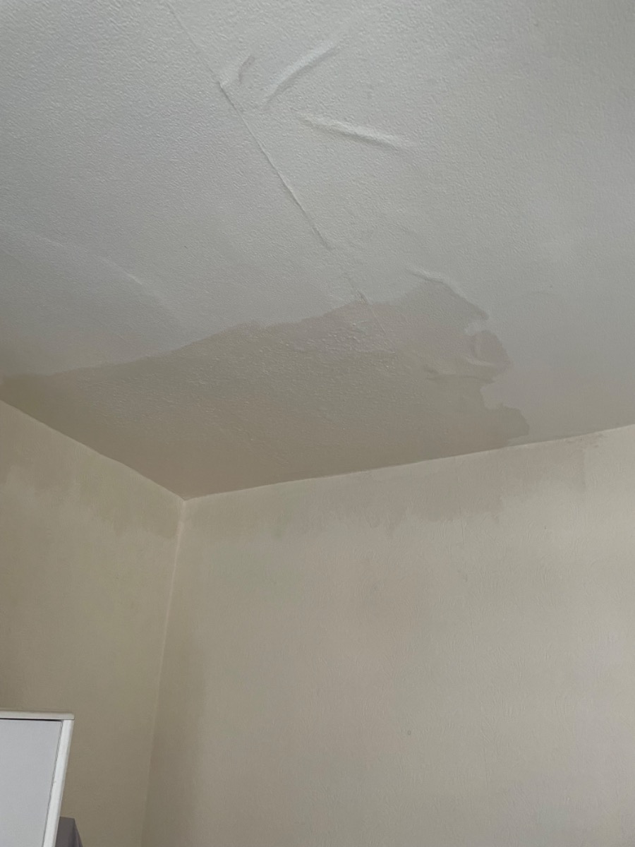 Plasterer: Image 4
