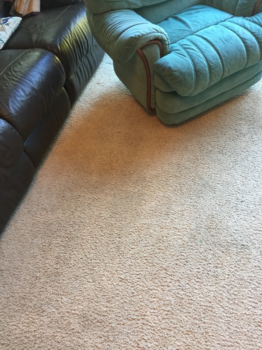 Cleaner: Image 39