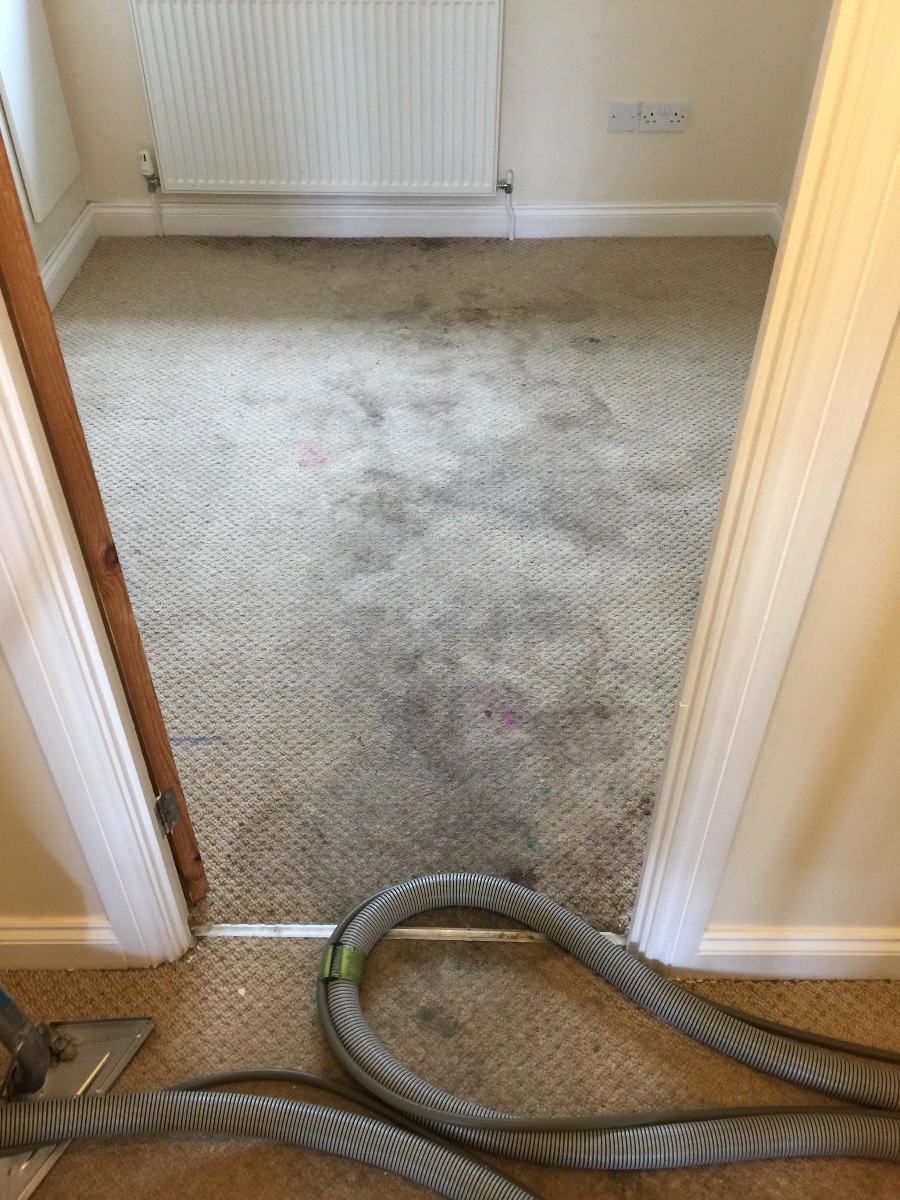 Cleaner: Image 26