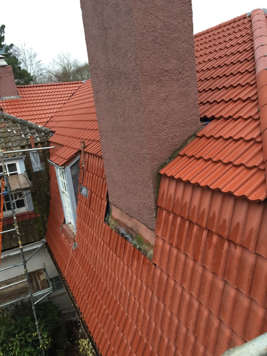 Builder: Image 3