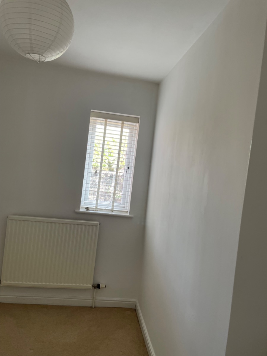 Painter and Decorator: Image 21