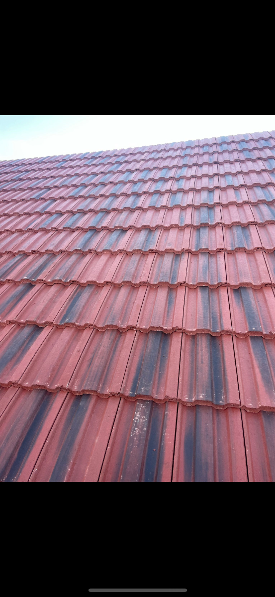 Roofer: Image 27