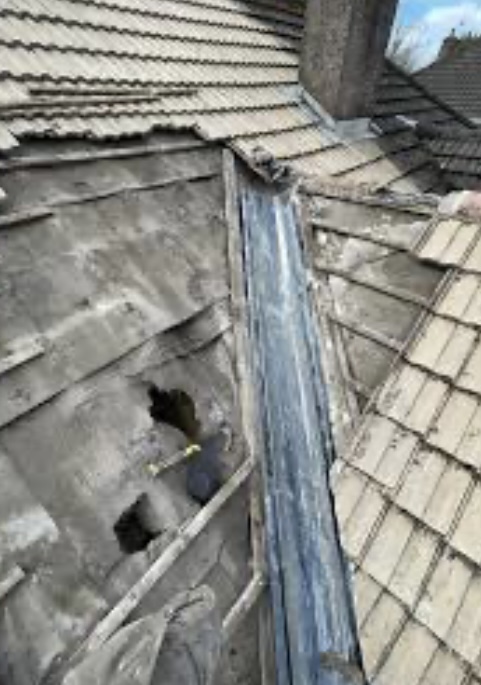 Roofer: Image 4