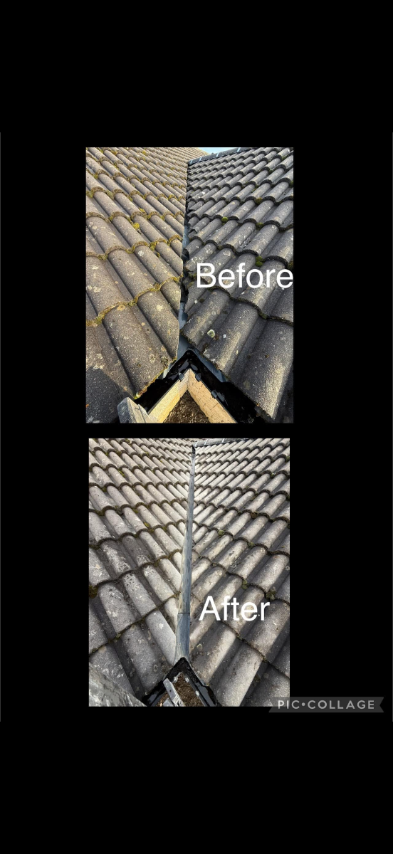 Roofer: Image 6