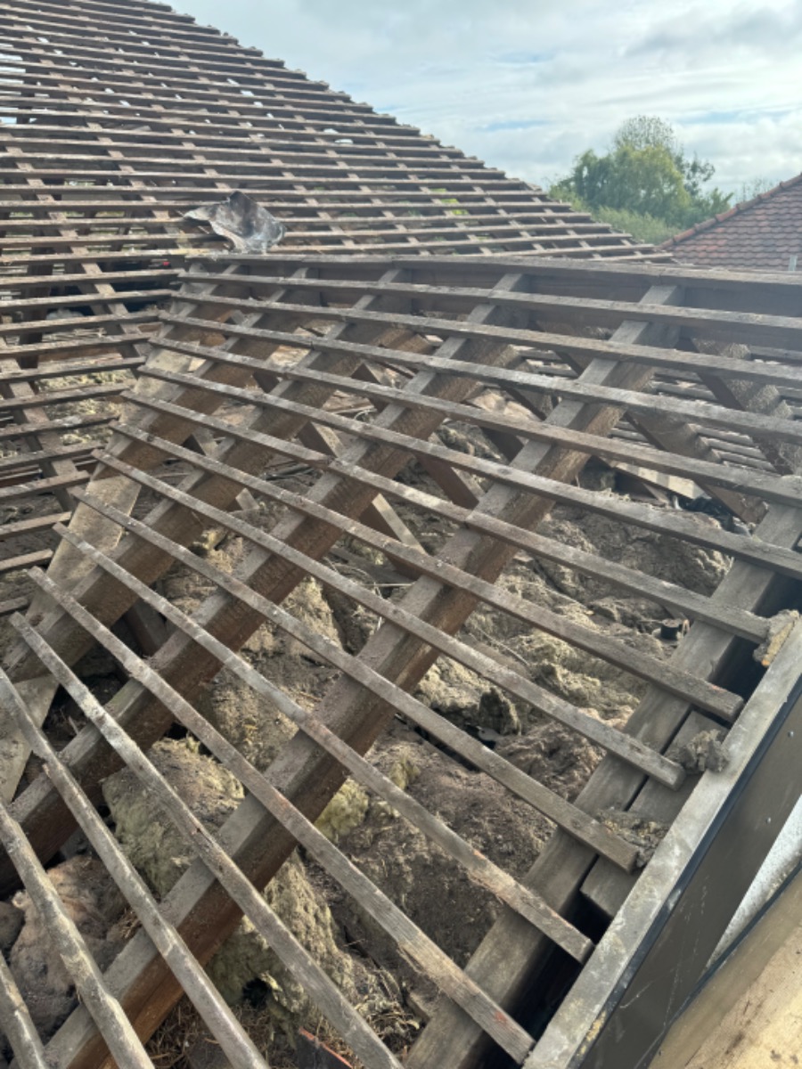Roofer: Image 17