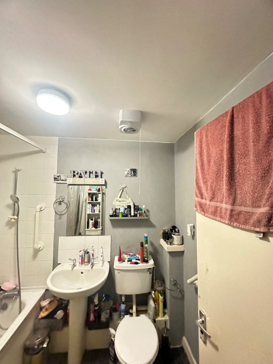 Painter and Decorator: Image 11
