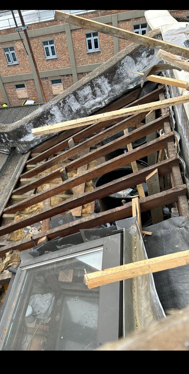 Roofer: Image 10