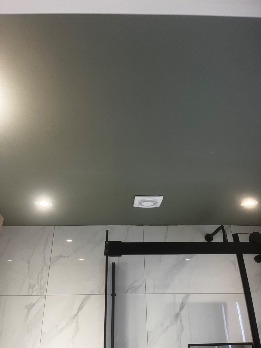 Painter and Decorator: Image 5