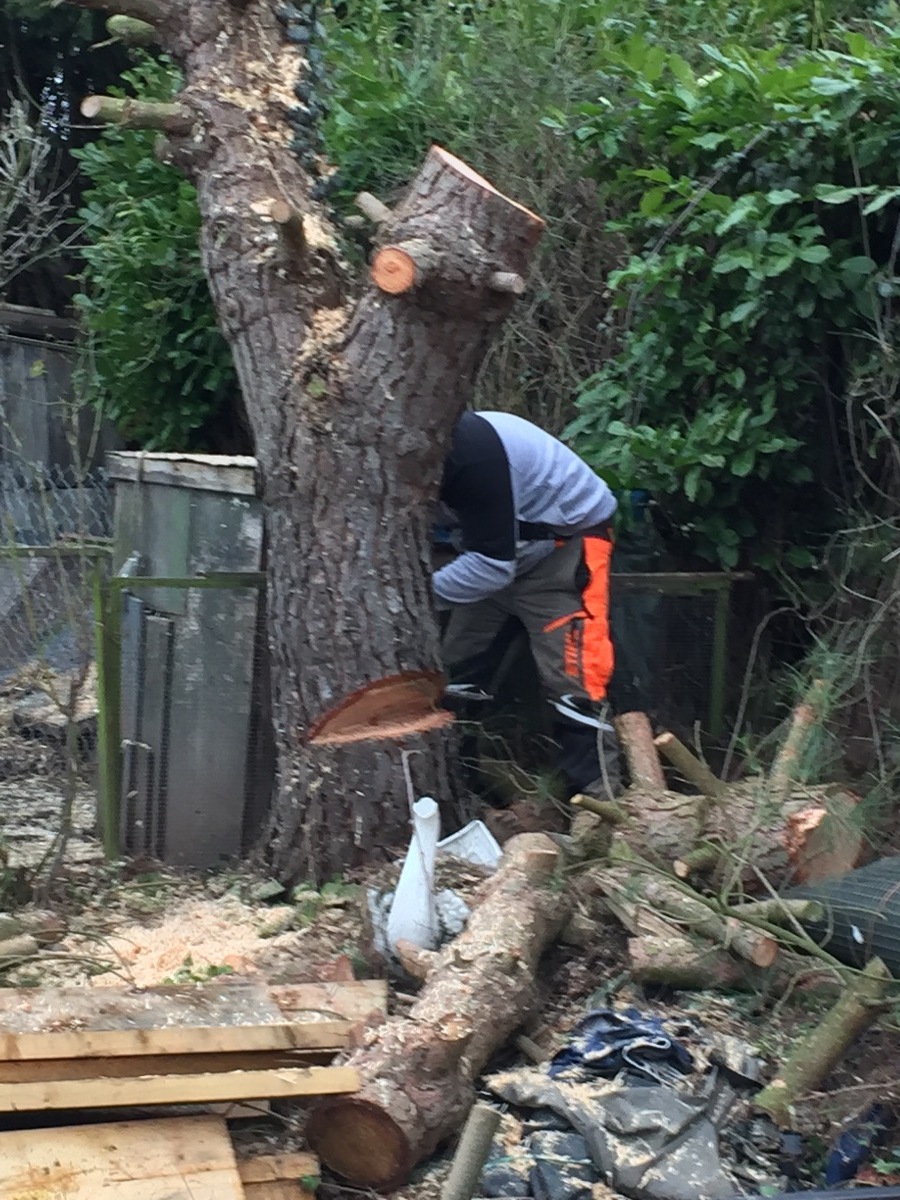 Gardener: Image 11