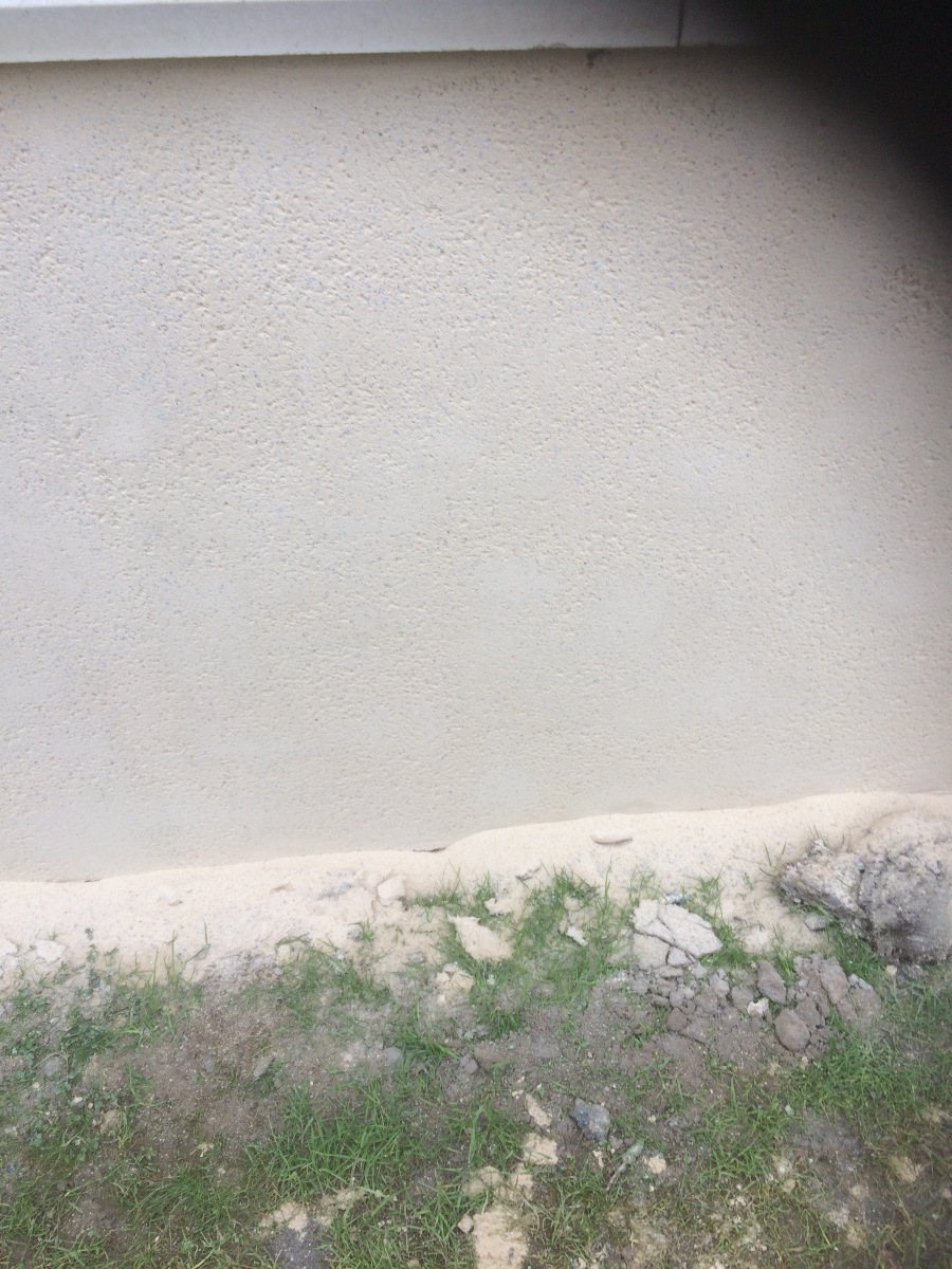 Company: Image 4