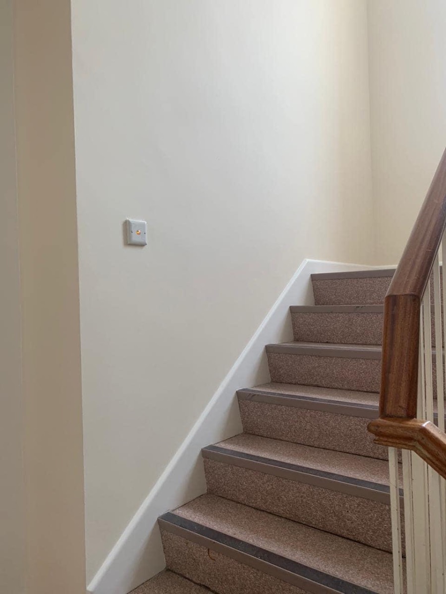 Painter and Decorator: Image 2