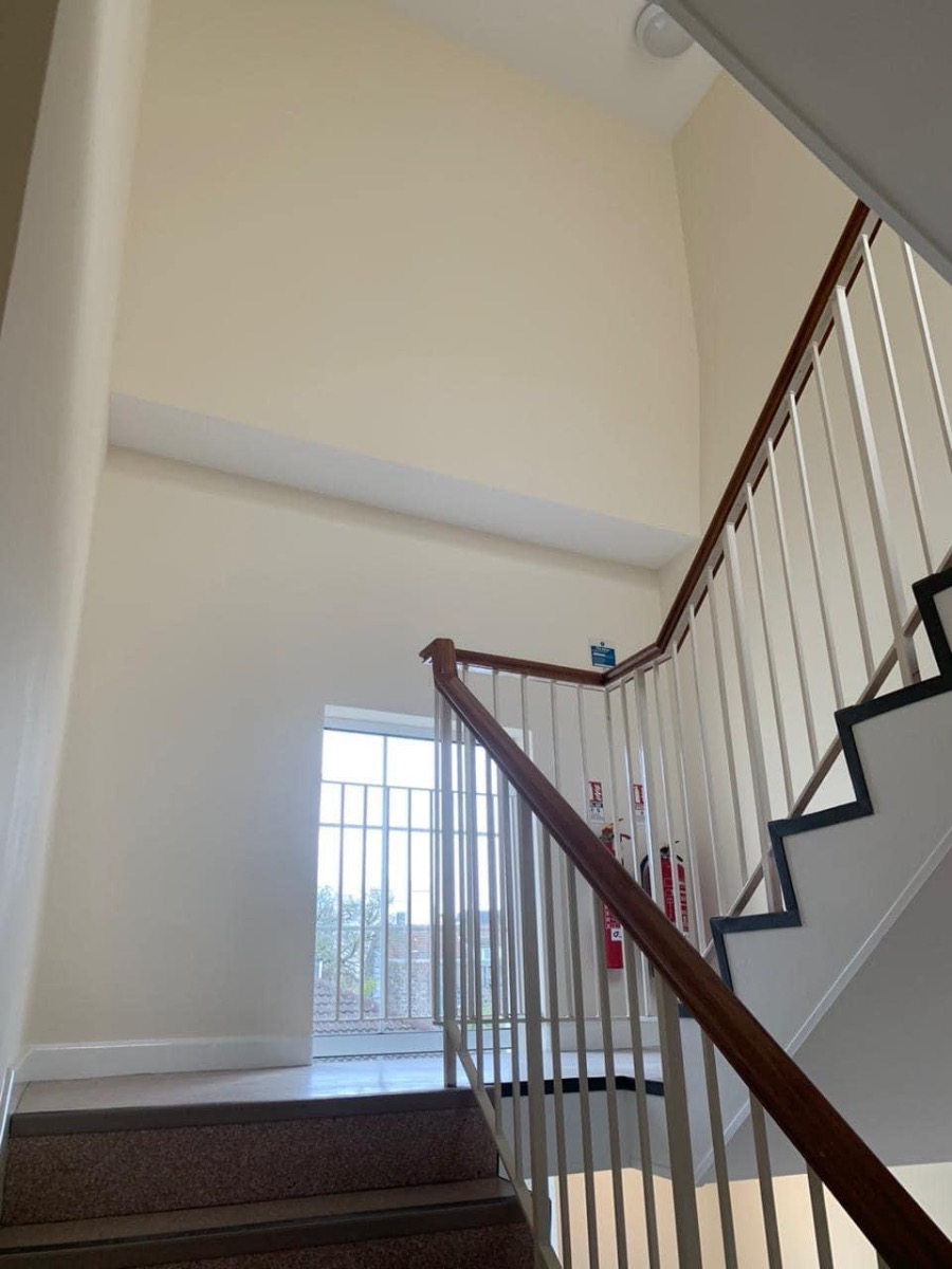 Painter and Decorator: Image 4