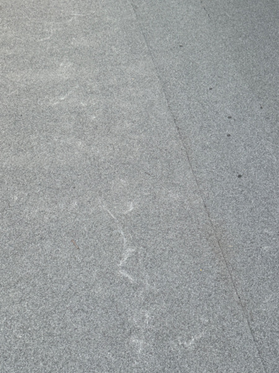 Roofer: Image 6