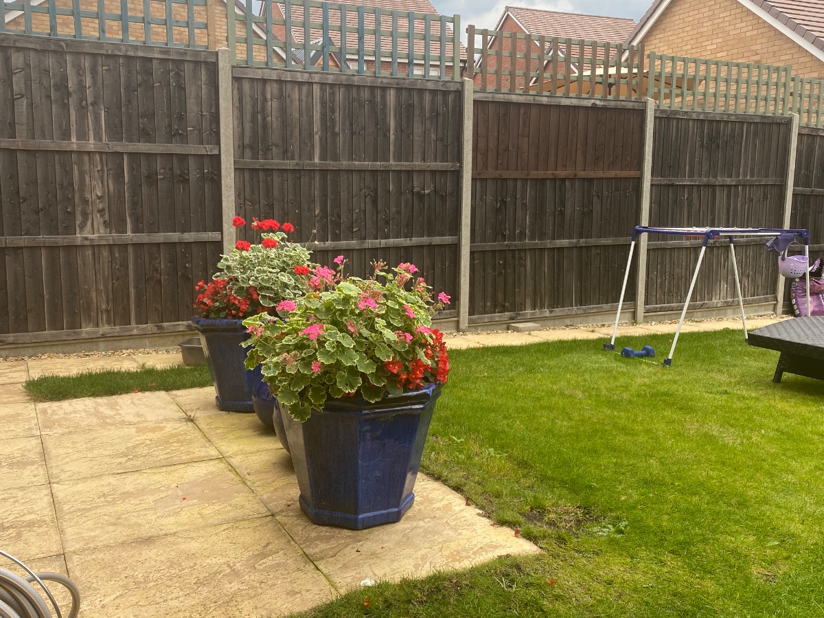 Landscaper: Image 7