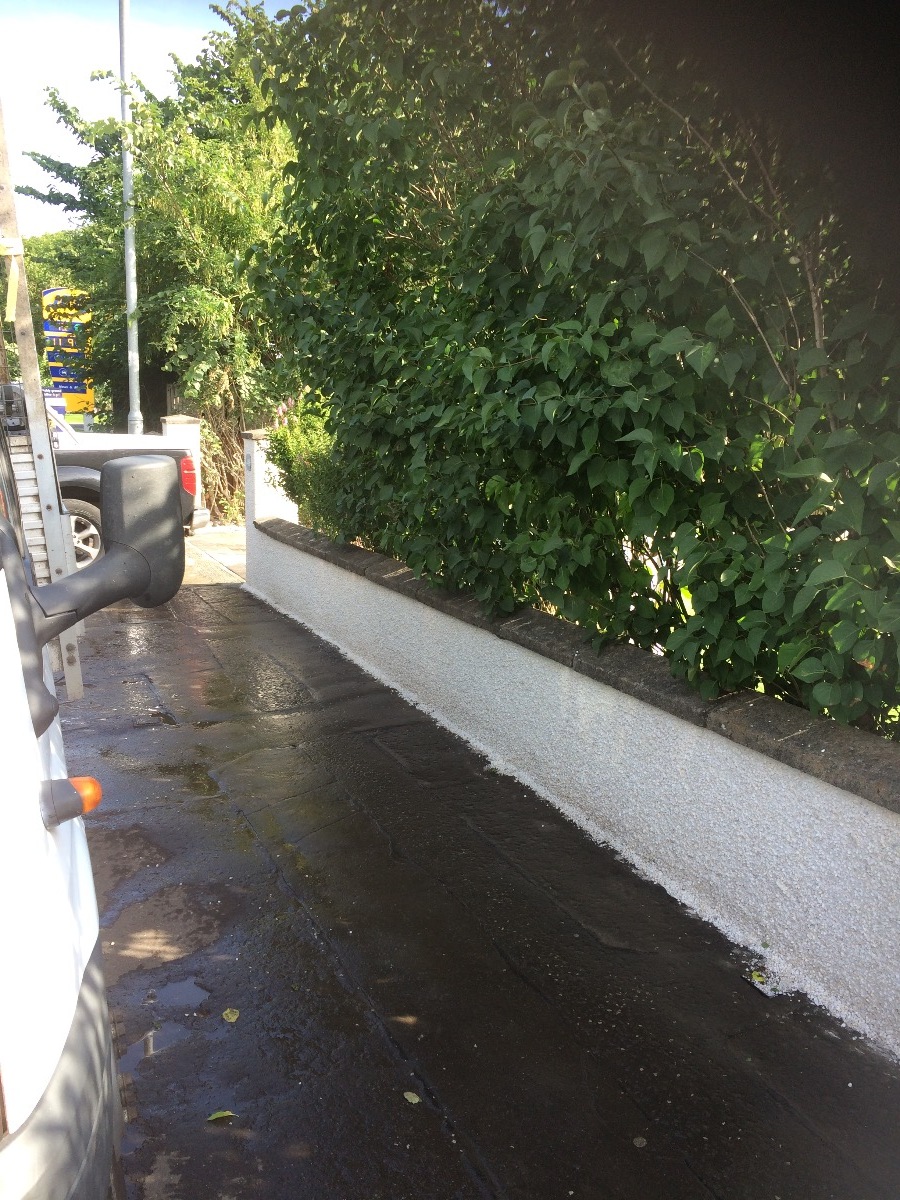 Company: Image 40